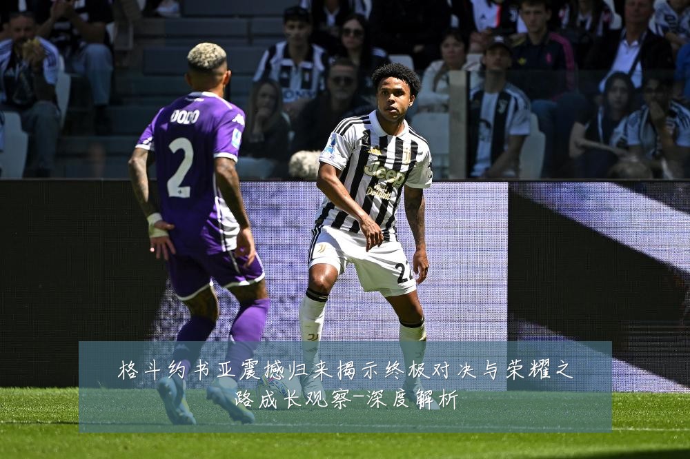 格斗约书亚震撼归来揭示终极对决与荣耀之路成长观察-深度解析